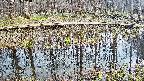 mizubasho7-20250409164042.jpg