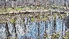 mizubasho7-20250409165043.jpg