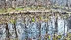 mizubasho7-20250409171040.jpg