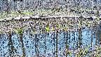 mizubasho7-20250409173041.jpg