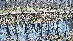 mizubasho7-20250409175042.jpg