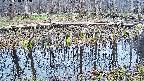 mizubasho7-20250410102041.jpg
