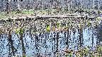 mizubasho7-20250410103044.jpg