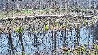 mizubasho7-20250410105042.jpg