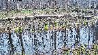 mizubasho7-20250410110044.jpg