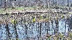 mizubasho7-20250410113042.jpg