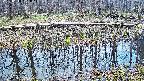 mizubasho7-20250410121044.jpg