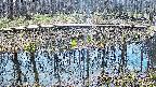 mizubasho7-20250410122046.jpg