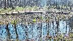 mizubasho7-20250410123044.jpg