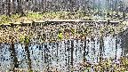 mizubasho7-20250410131042.jpg