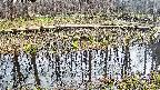 mizubasho7-20250410140040.jpg