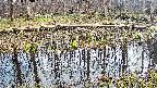 mizubasho7-20250410150042.jpg