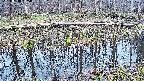 mizubasho7-20250410165040.jpg