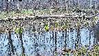 mizubasho7-20250410170042.jpg