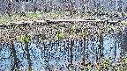 mizubasho7-20250410173045.jpg