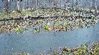 mizubasho7-20250411051042.jpg