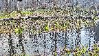 mizubasho7-20250411060039.jpg