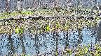 mizubasho7-20250411061043.jpg