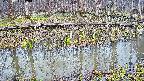 mizubasho7-20250411070043.jpg