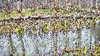 mizubasho7-20250411071044.jpg