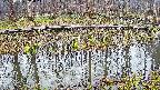 mizubasho7-20250411072046.jpg