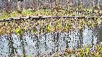 mizubasho7-20250411075041.jpg
