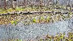 mizubasho7-20250411080042.jpg