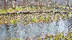 mizubasho7-20250411081043.jpg