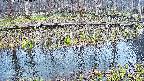 mizubasho7-20250411082045.jpg