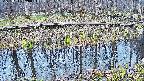 mizubasho7-20250411090039.jpg