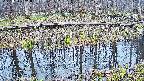mizubasho7-20250411091043.jpg