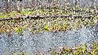 mizubasho7-20250411093041.jpg