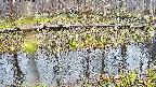 mizubasho7-20250411101042.jpg