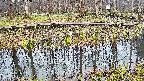 mizubasho7-20250411112041.jpg