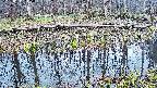 mizubasho7-20250411115042.jpg