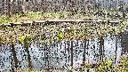mizubasho7-20250411132043.jpg