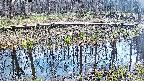 mizubasho7-20250411140042.jpg