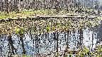 mizubasho7-20250411143041.jpg