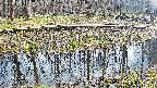 mizubasho7-20250411144046.jpg