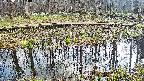mizubasho7-20250411150040.jpg