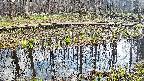 mizubasho7-20250411151040.jpg