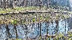 mizubasho7-20250411152044.jpg