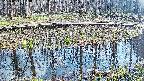 mizubasho7-20250411153040.jpg