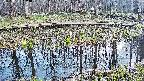 mizubasho7-20250411154041.jpg