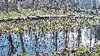 mizubasho7-20250411155044.jpg