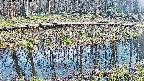 mizubasho7-20250411163043.jpg