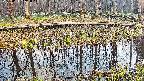 mizubasho7-20250411171043.jpg