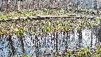 mizubasho7-20250411173043.jpg