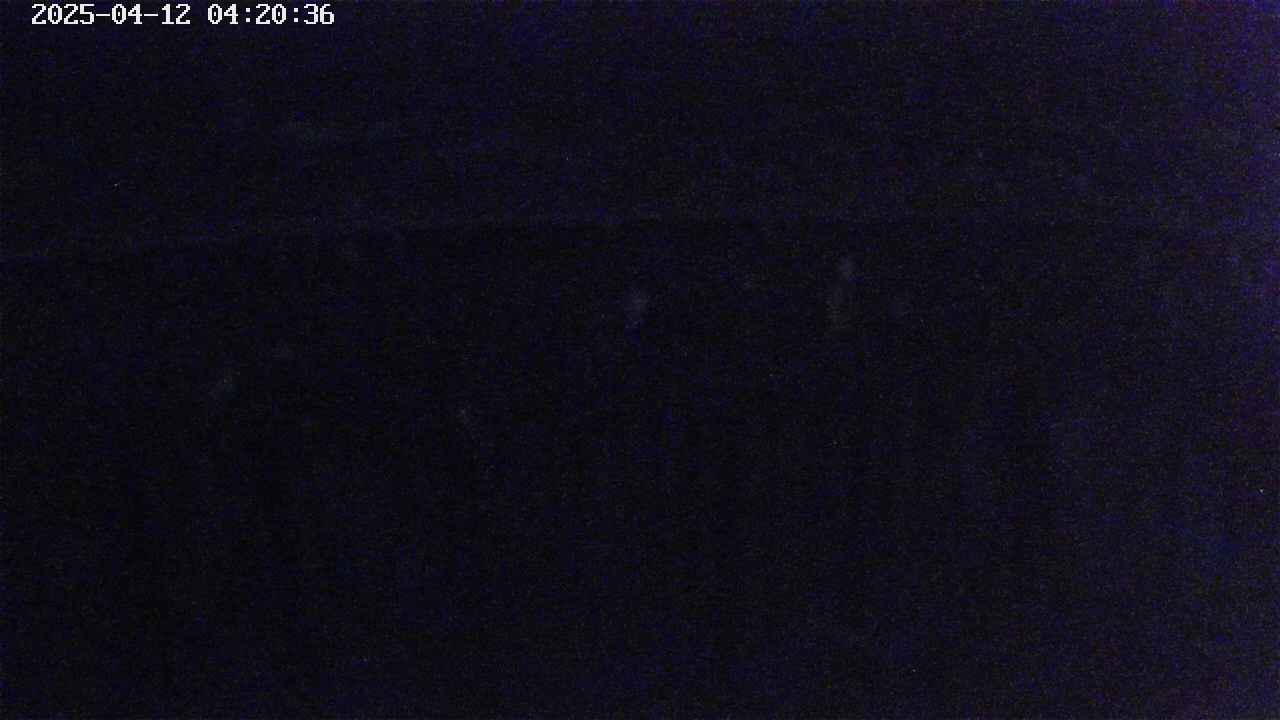 mizubasho7-20250412042038.jpg
