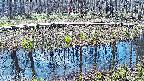 mizubasho7-20250412093037.jpg